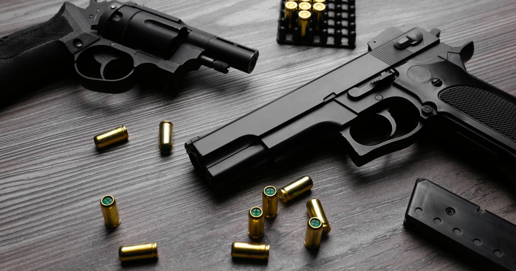 Moms Demand Action group backs more responsible gun ownership - Vimarsana News