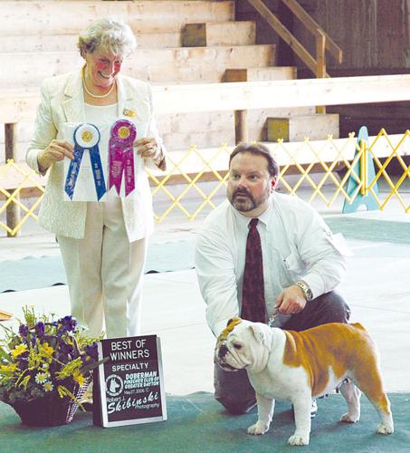 dog show
