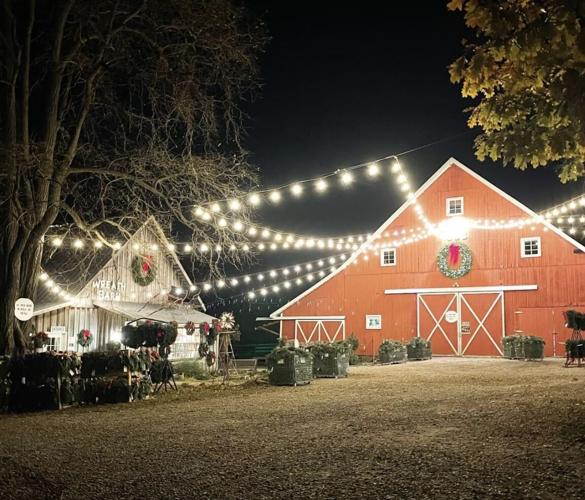 No. 34, Log Barn/Christmas Tree Farm, Williamsfield