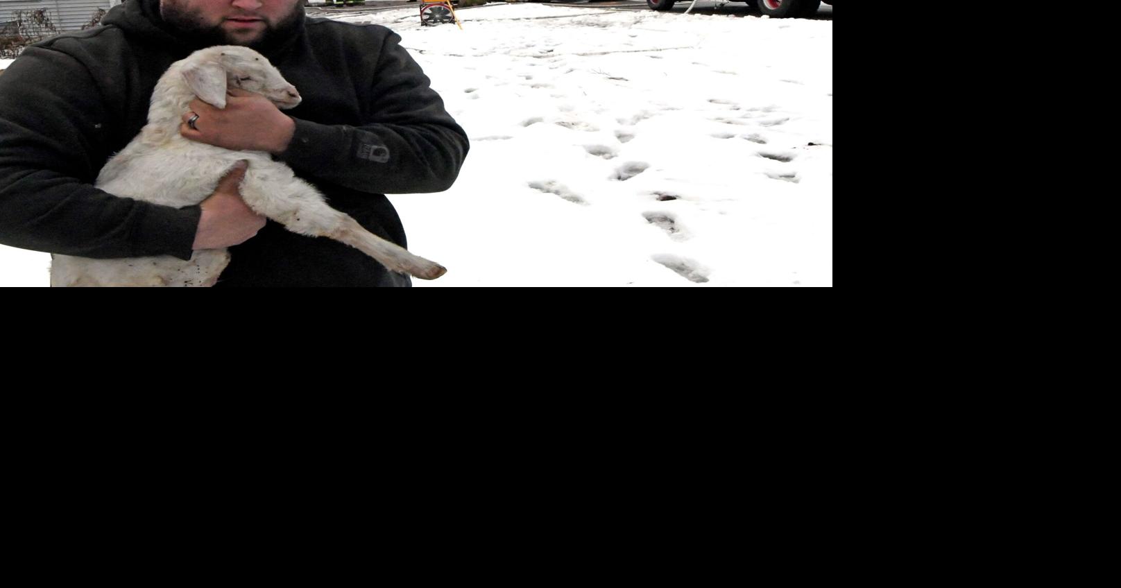 Thorntown couple loses home to fire Across Indiana