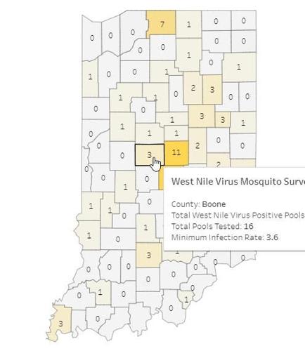 West Nile Virus found in Boone County mosquitos, authorities warn of human  vulnerability | Local News | reporter.net