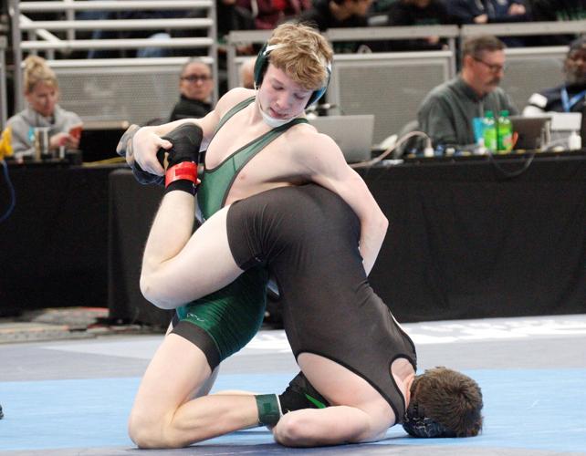 Rinehart places seventh in state | Sports | reporter.net