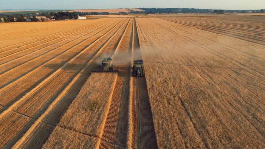Could tariffs affect Upper Valley grain prices? Idaho