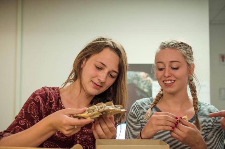 NASA funds sciencebased internships for high school girls at Idaho
