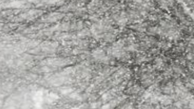 Big Storm Forecast To Bring Cold Snow To East Idaho News