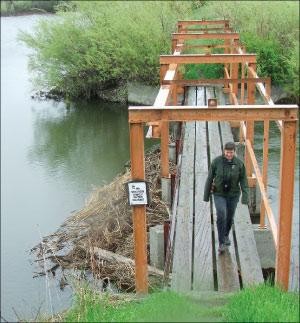 Cartier Slough a Wildlife Wonderland News