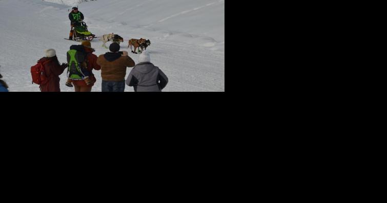 American Dog Derby scheduled for Bear Gulch - Vimarsana News