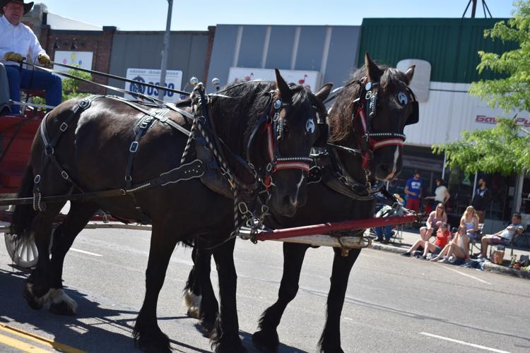 Large crowd attends Rexburg Fourth of July Parade Rexburg