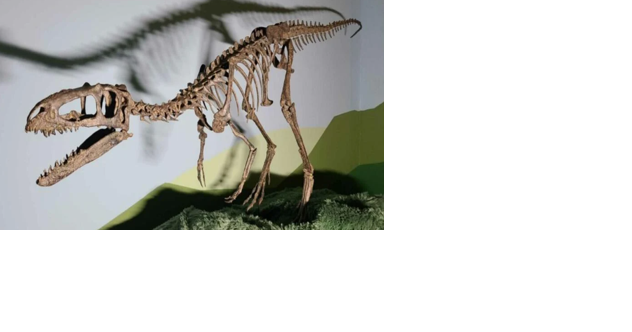 ISU museum showcases never-before-seen fossils in exhibit - Vimarsana News