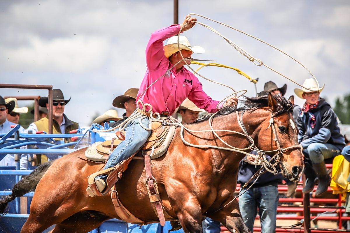 A Look At The 21 State High School Rodeo Finals Tie Down Roping Sports Rexburgstandardjournal Com