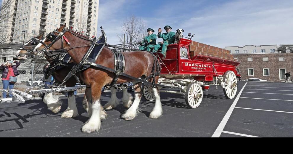 Budweiser, Clydesdales coming back to Super Bowl 56