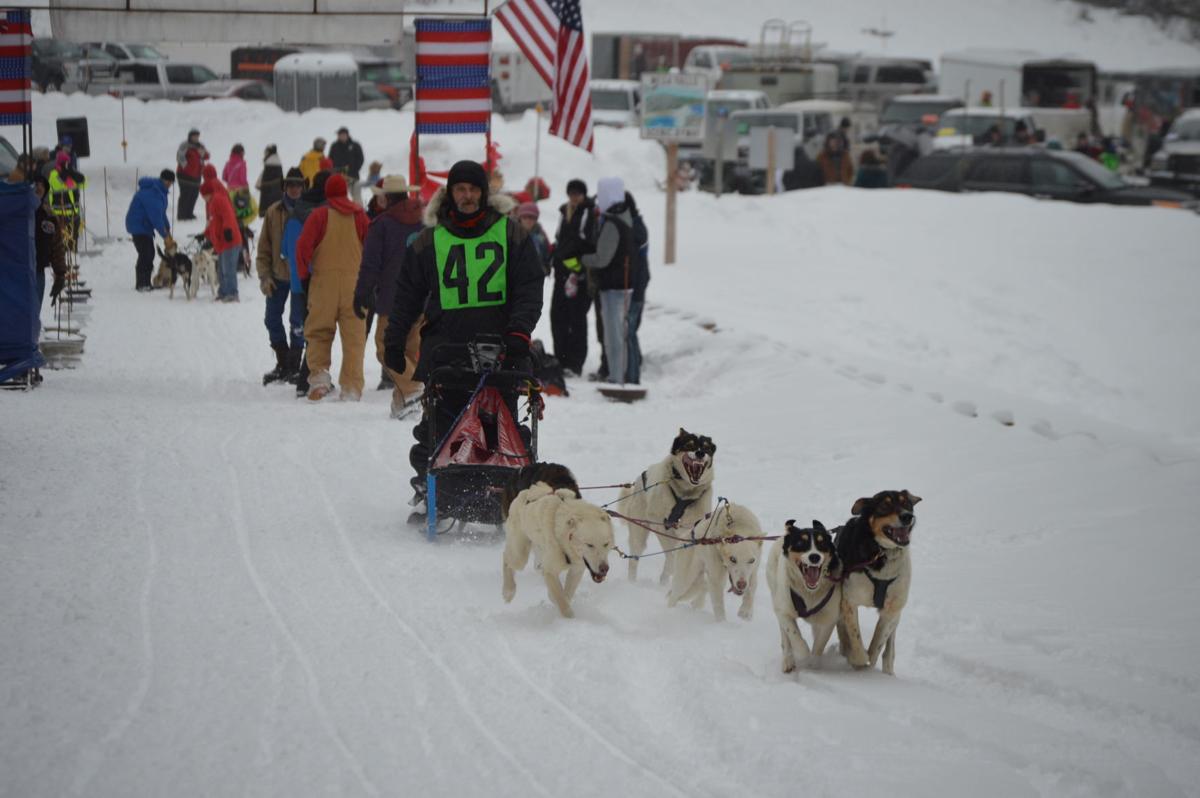 Dog Days Of Winter Cures Cabin Fever During Dog Derby Idaho