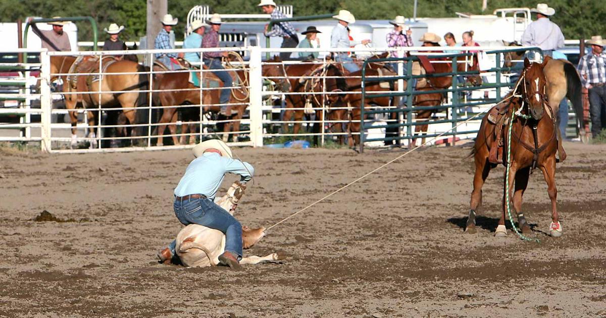 Scenes from the Rexburg Whoopee Days Rodeo | Sports ...