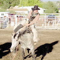 Rodeo action to highlight Whoopee Days festivities | Sports ...