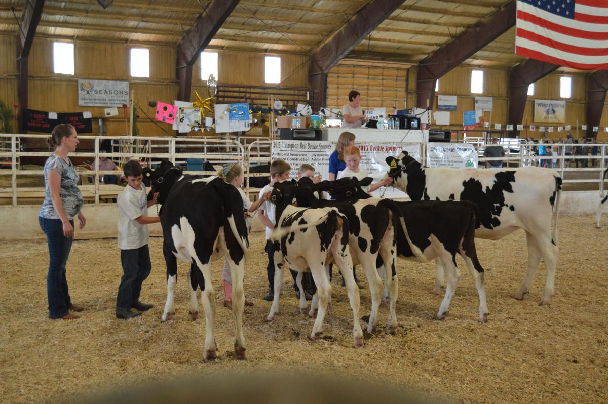 Madison County Fair photo highlights Idaho