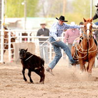 Wesley Miller Rodeo Born to rodeo: Rexburg athlete Wesley Parker showing his stuff | Sports ...