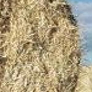 Straw Maze Boys Bring The Business To Archer News Rexburgstandardjournal Com