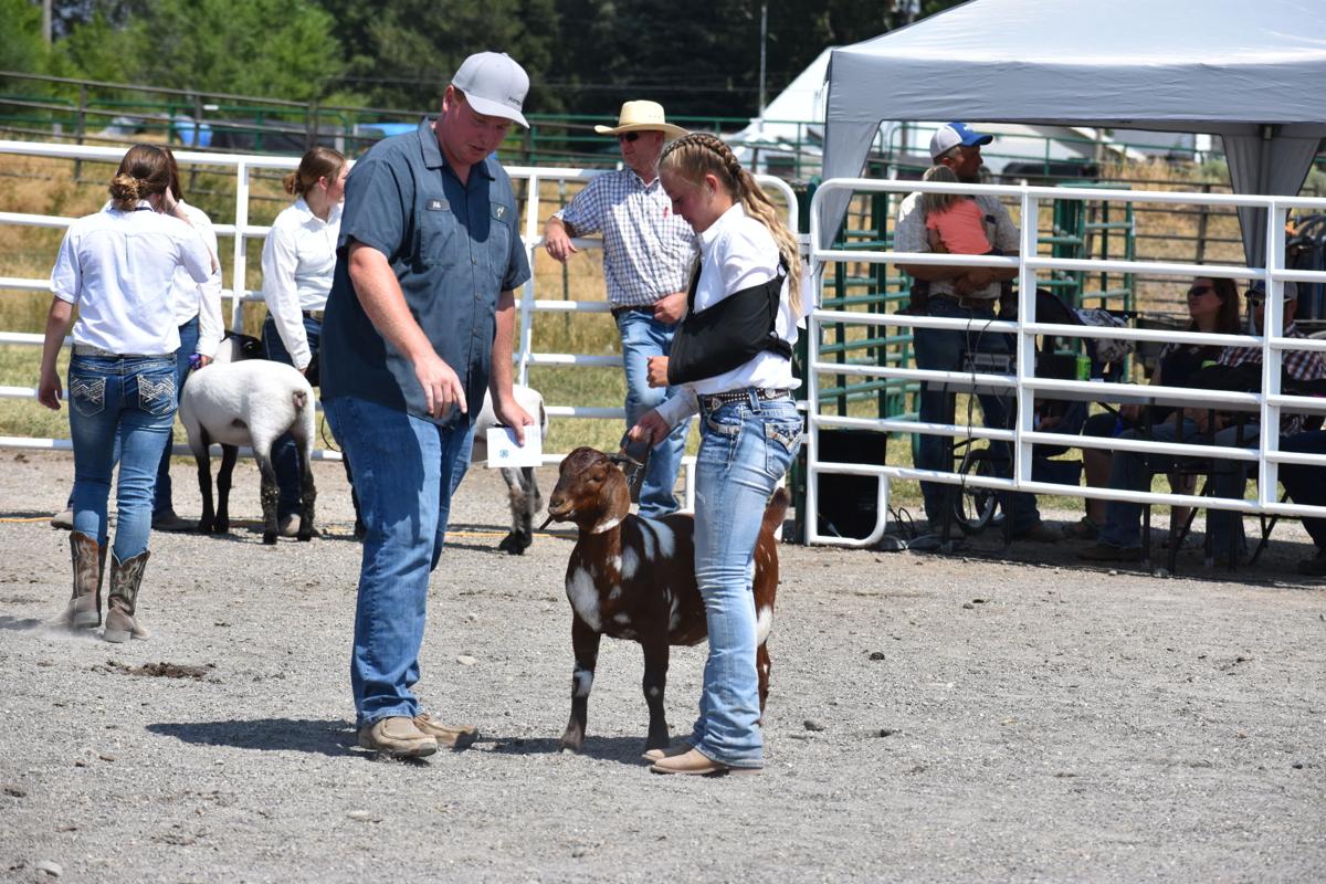 Fremont County Fair to continue through Saturday News