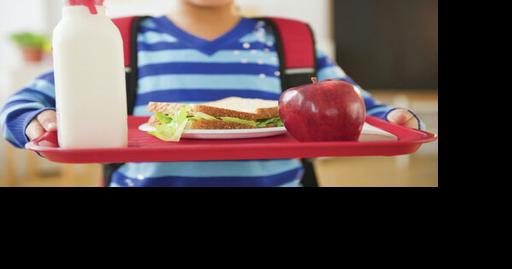 USDA accepting applications for reduced or free school meals - Vimarsana News