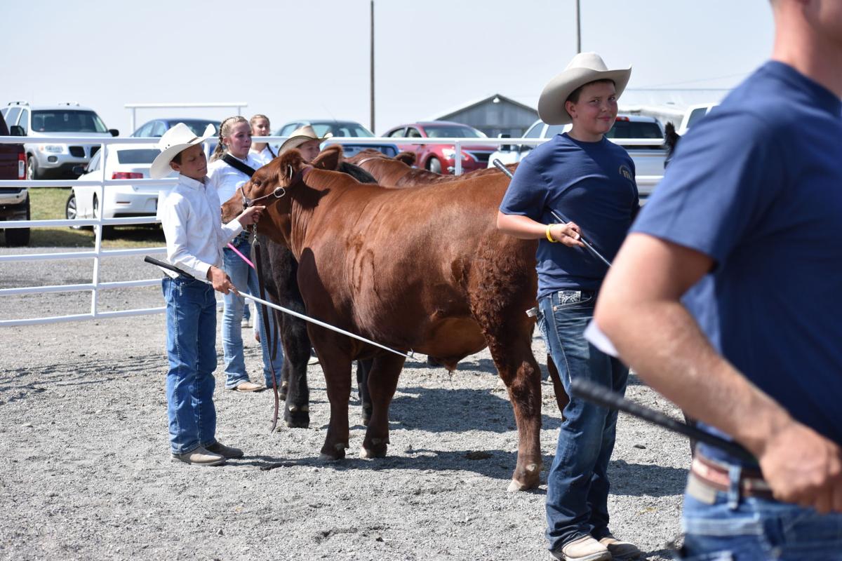 Fremont County Fair to continue through Saturday News
