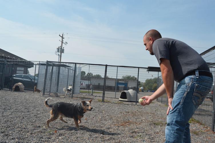Animal shelter welcomes new Animal Control Officer | Local News |  