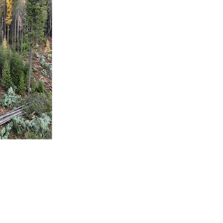 Forest Service and Idaho Department of Lands Expand Partnership