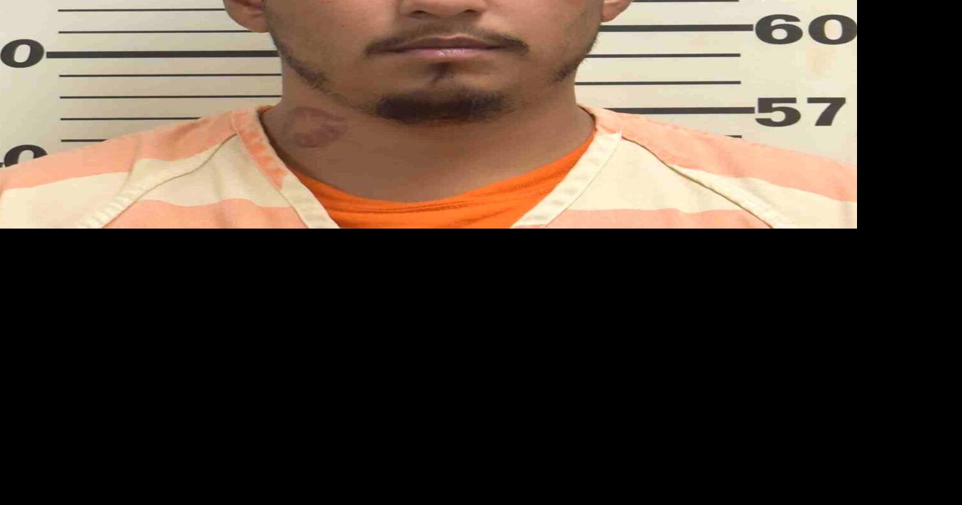 Wrong way U.S 20 drunk driver goes on rider, faces six years in prison ...