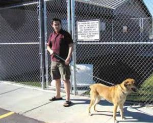 rexburg animal shelter dogs