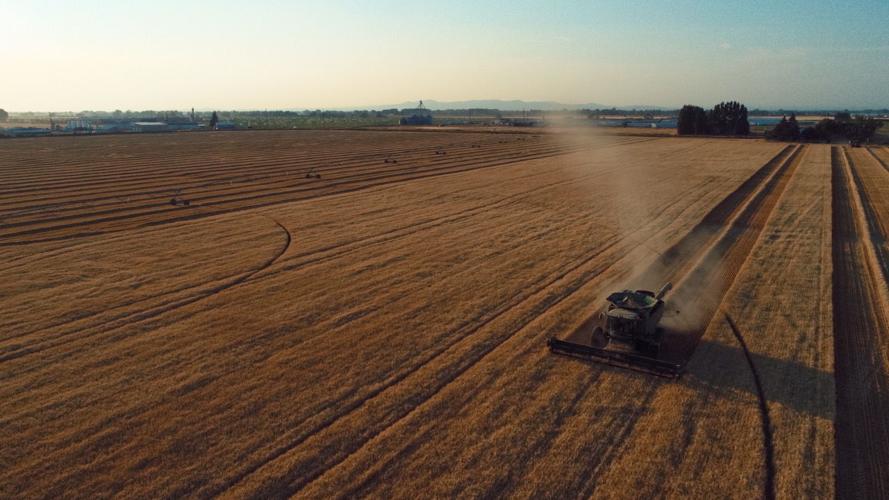 Could tariffs affect Upper Valley grain prices? Idaho