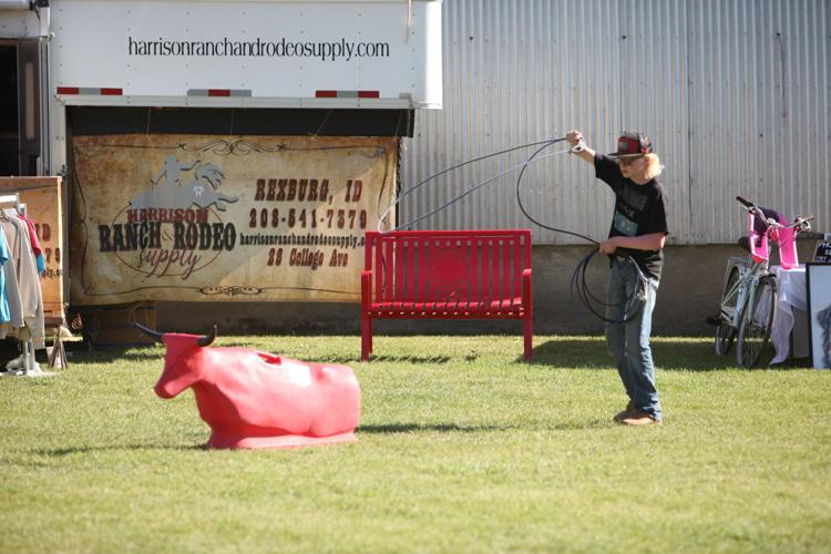 Record turnout kicks off Madison County Fair Rexburg