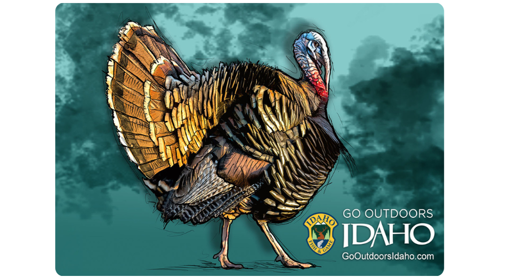 Idaho Fish and Game holds contest for 2025 license design Local News