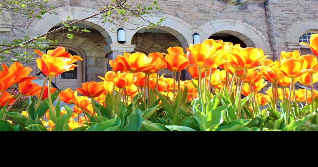 Rexburg plans capital campaign to renovate tabernacle at 5 million