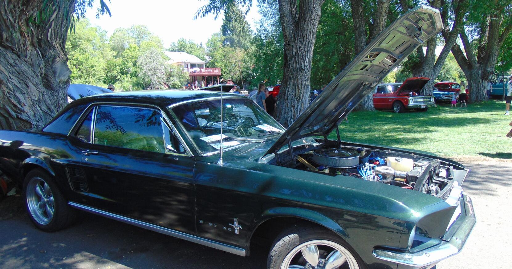 Pioneer Day Car Show held on Saturday - Vimarsana News