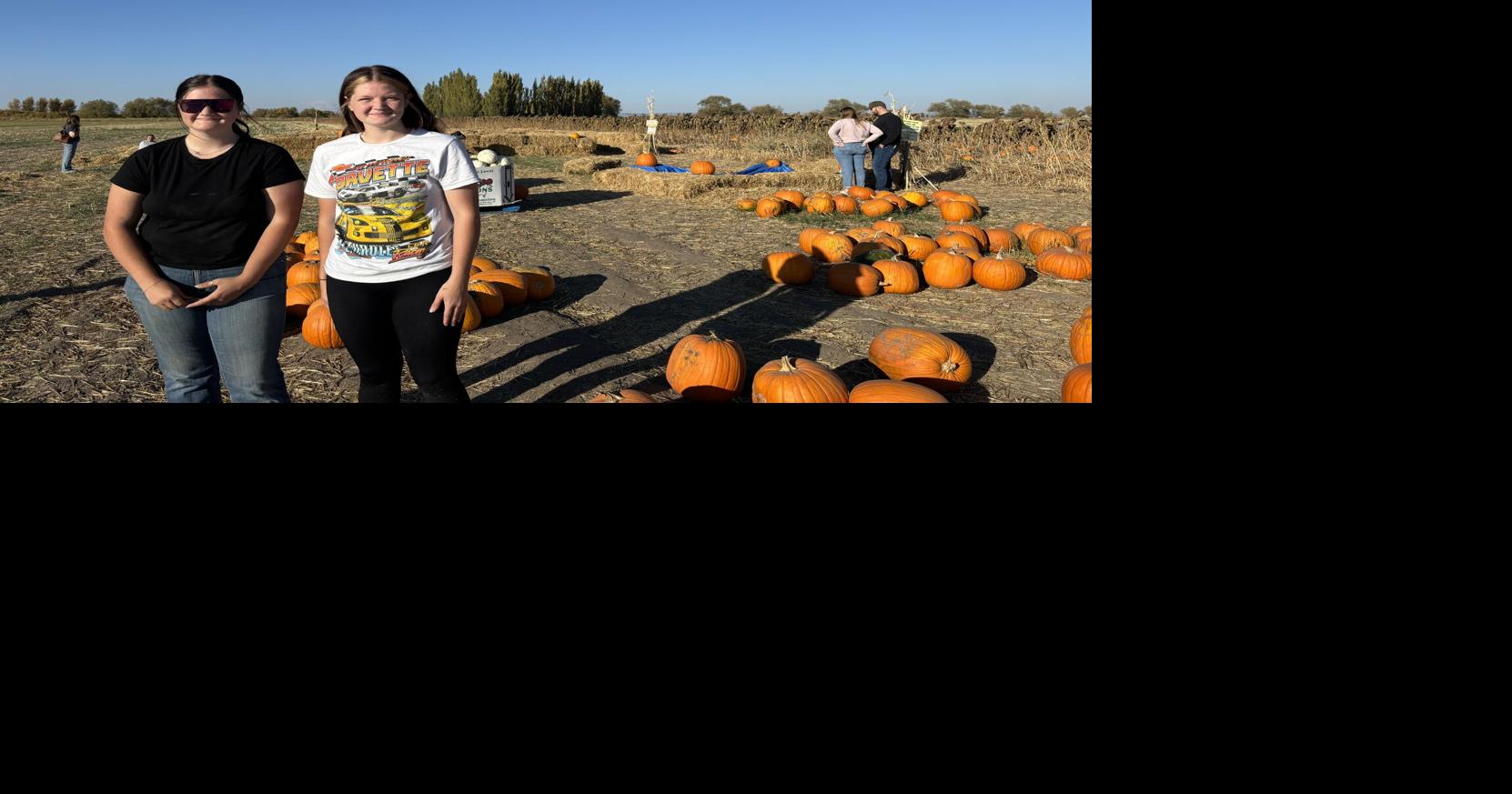 FFA Organizes Family-Friendly Pumpkin Patch Event