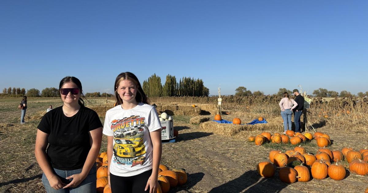 FFA Organizes Family-Friendly Pumpkin Patch Event FFA Organizes Family-Friendly Pumpkin Patch Event