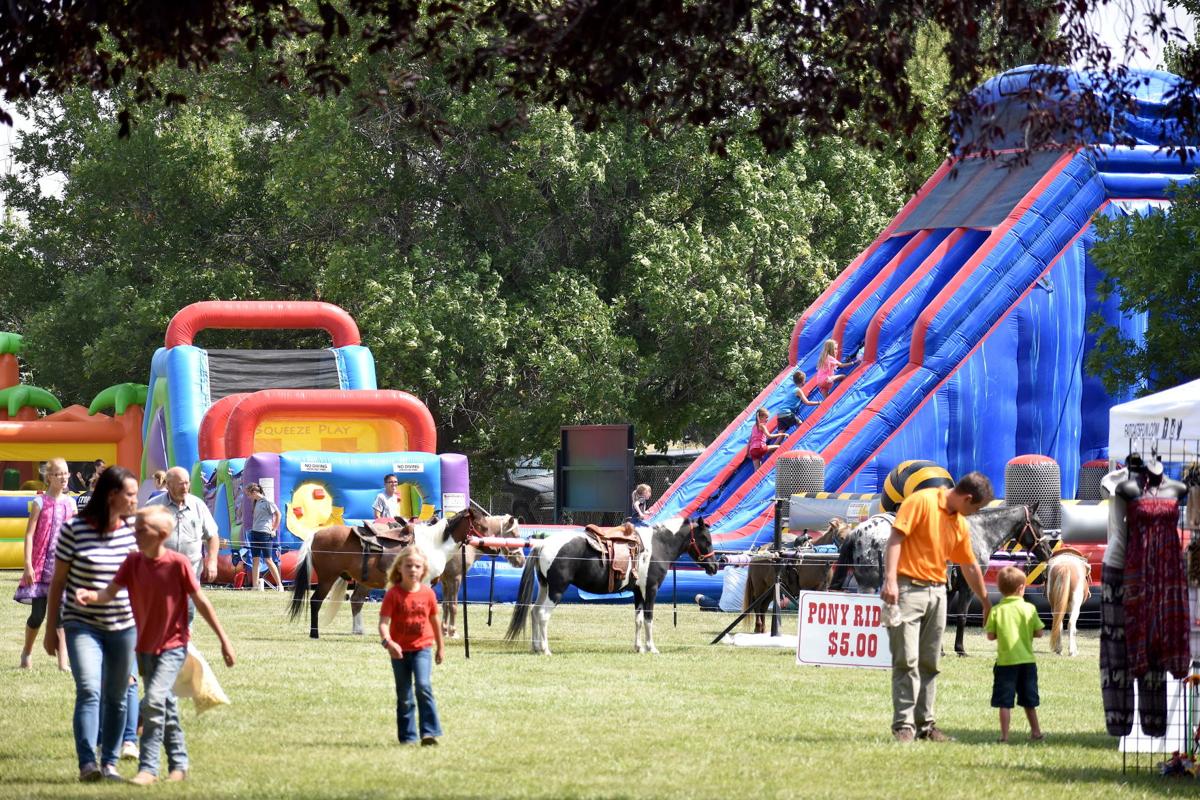Madison County Fair 2018 News Rexburgstandardjournal Com