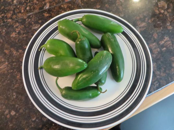 Jalapeno popper chicken casserole for dinner tonight