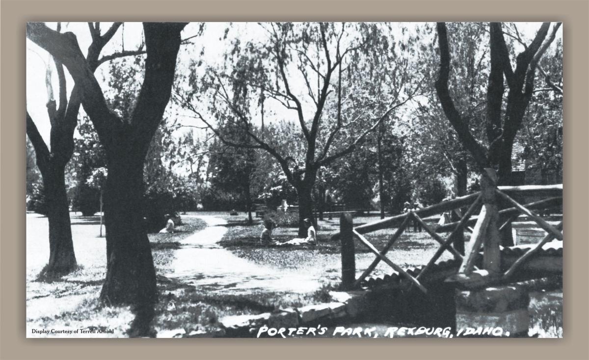 City Plans To Replant Iconic White Trees In Porter Park Idaho
