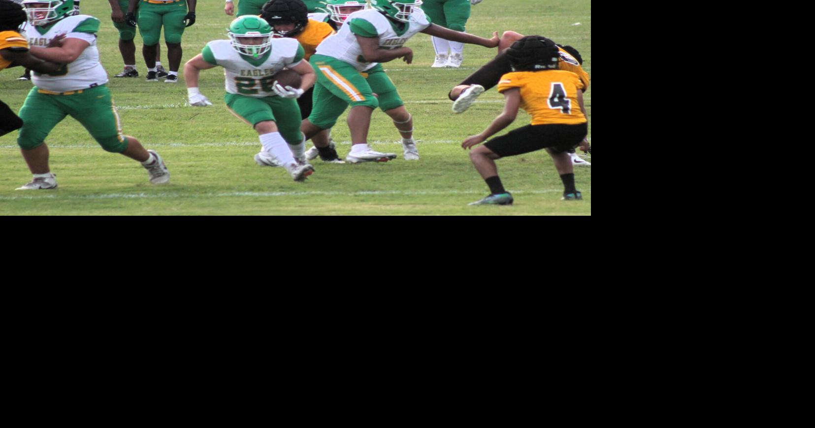 Eagles down Hixson