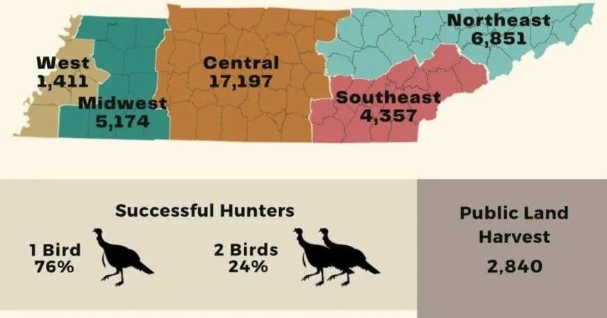 TWRA releases spring turkey harvest report