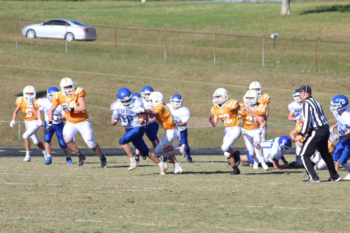 Sweatbees Win Championship Sports Rheaheraldnews Com