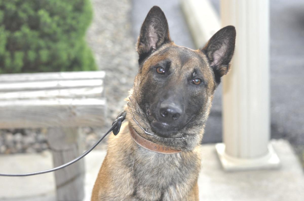 Top Dog Richmond Police Get New K9 News Richmondregister Com