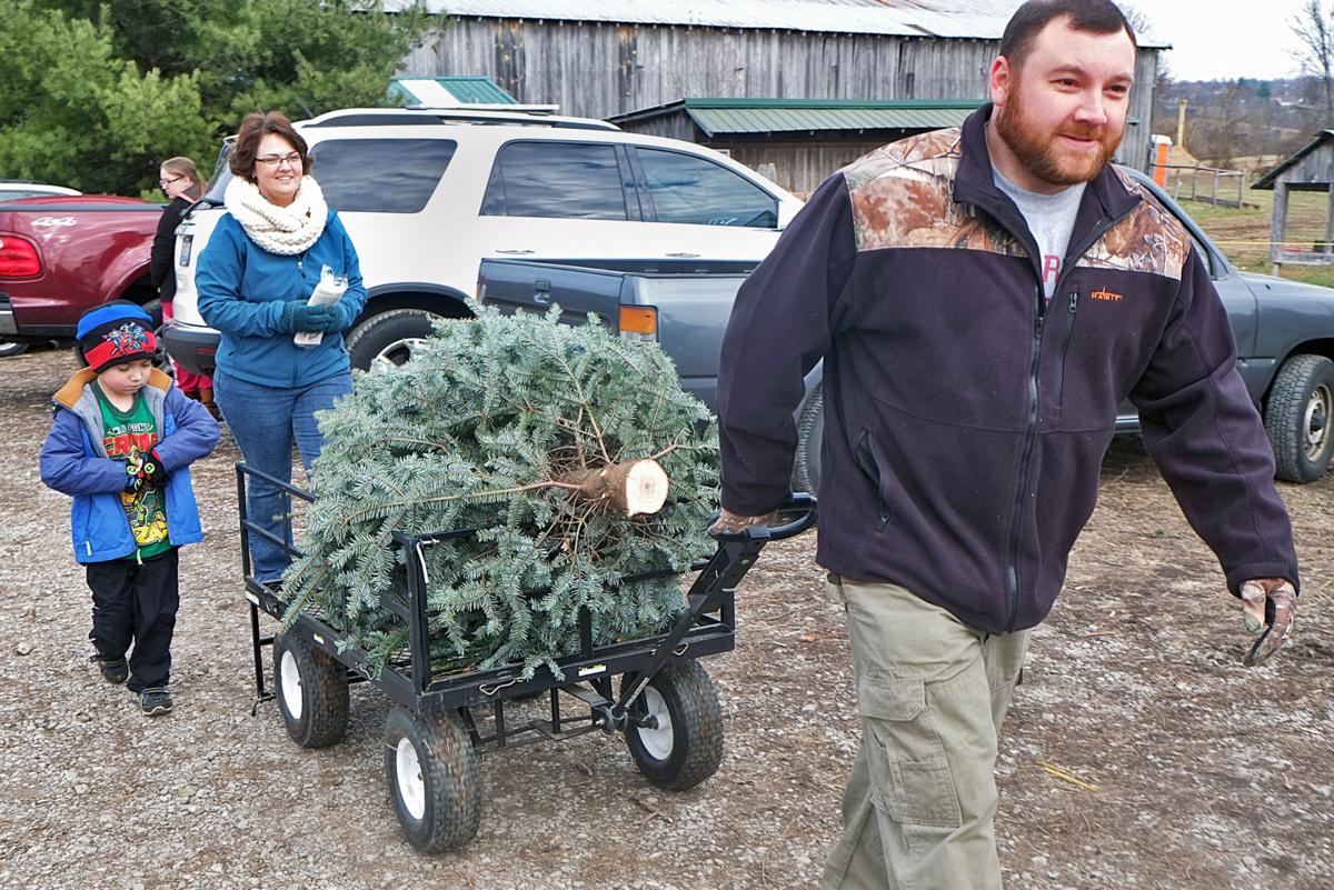 Families start cutting Christmas trees Local News