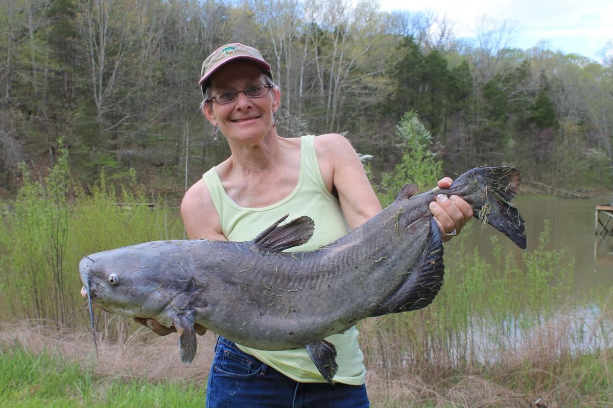 A great time to catch a catfish, News