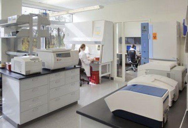 Uofl Researchers Working On Coronavirus Block Coronavirus In