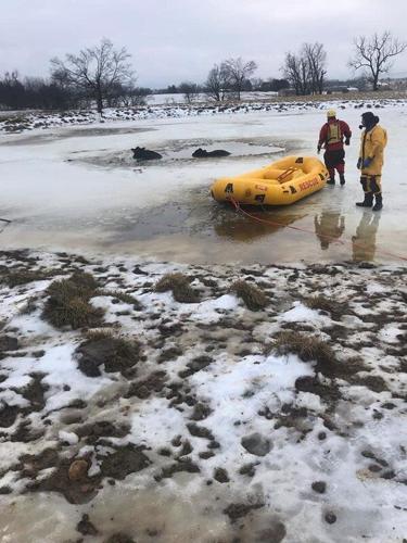 HOLY COW! Local fire departments rescue trapped bovines | News ...