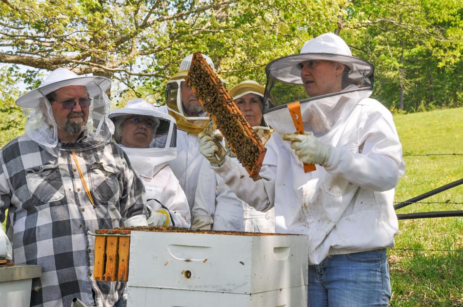 New and experienced get the buzz about beekeeping News
