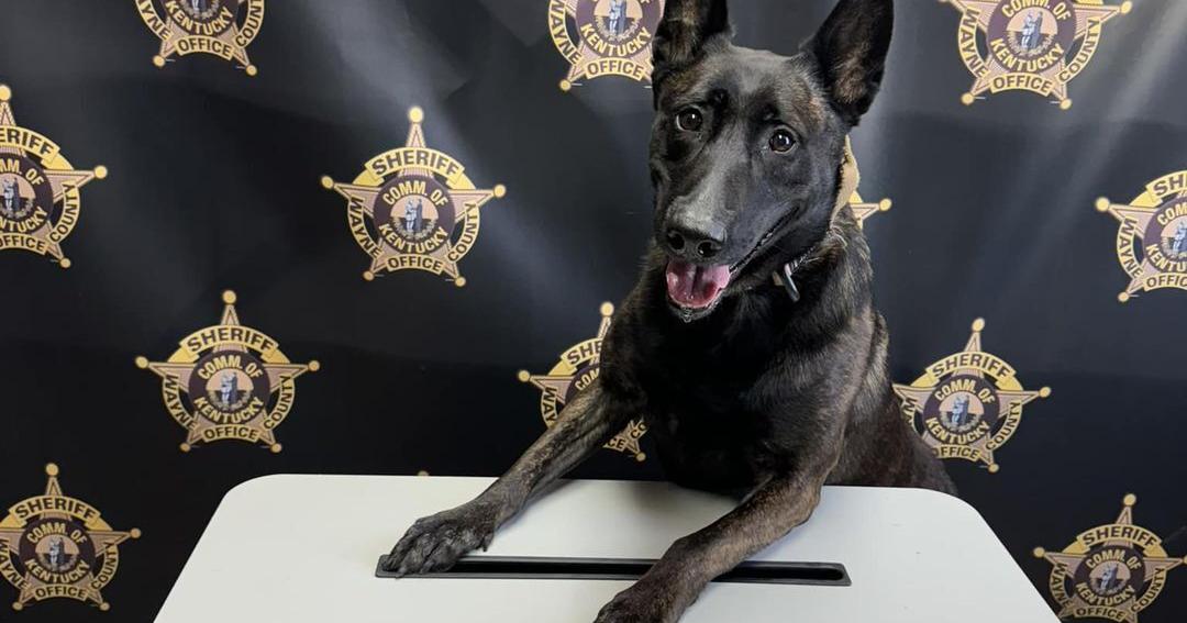 Madison County man arrested in connection to drug trafficking in Wayne ...