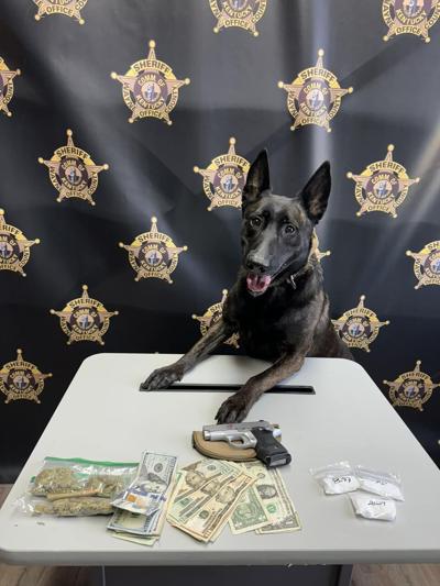 Madison County man arrested in connection to drug trafficking in Wayne ...