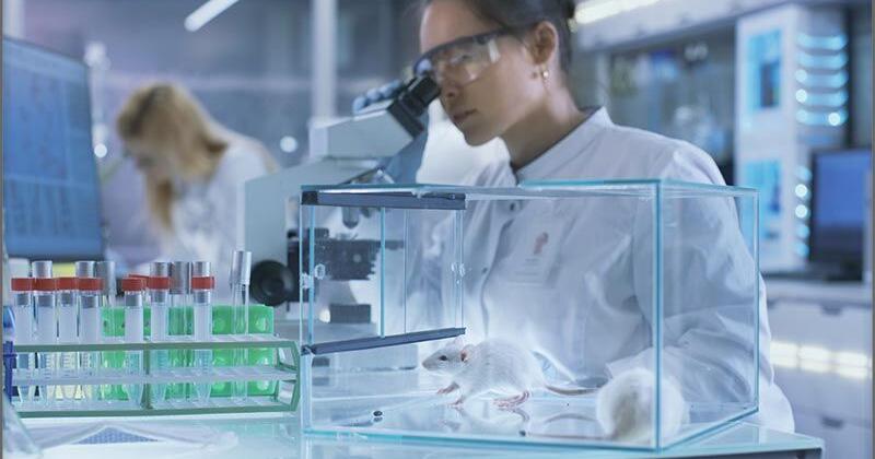 CCHR: Billions of Dollars Wasted on Mental Health Research with Worsening Outcomes